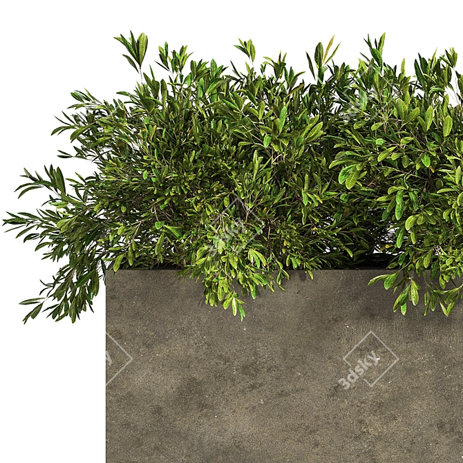 Concrete Box Outdoor Tree - 2015 3D model image 2