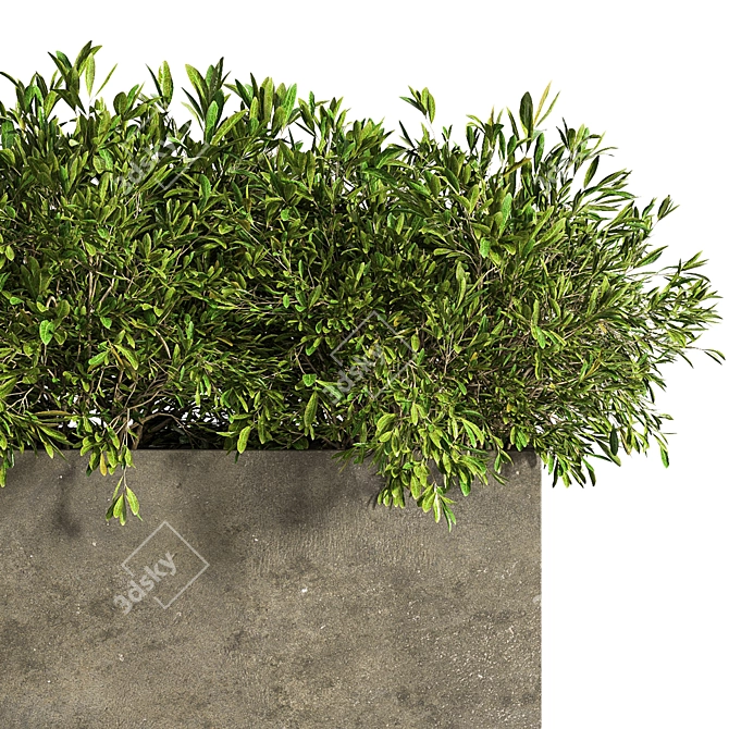 Concrete Box Outdoor Tree - 2015 3D model image 3