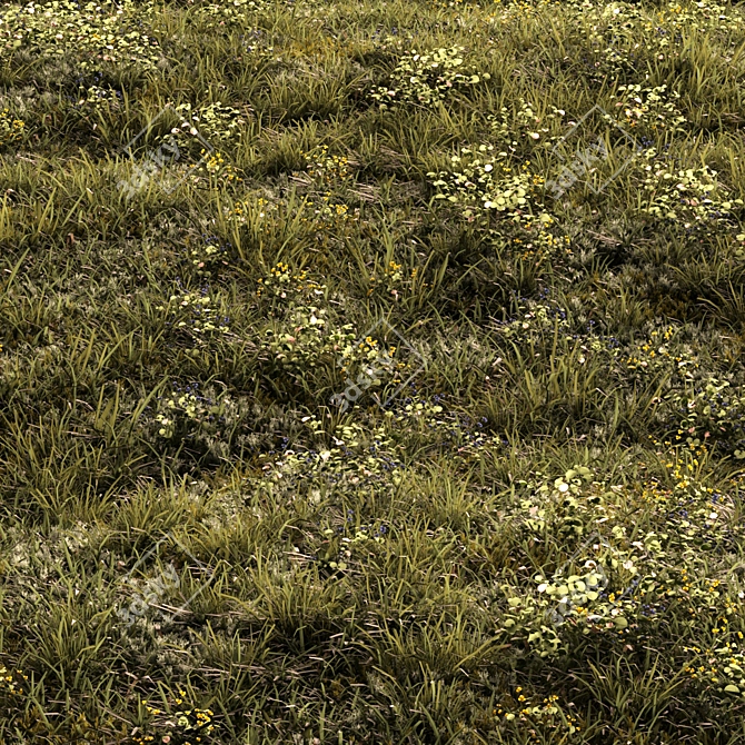 Lush Forest Grass for 3D Scenes 3D model image 1