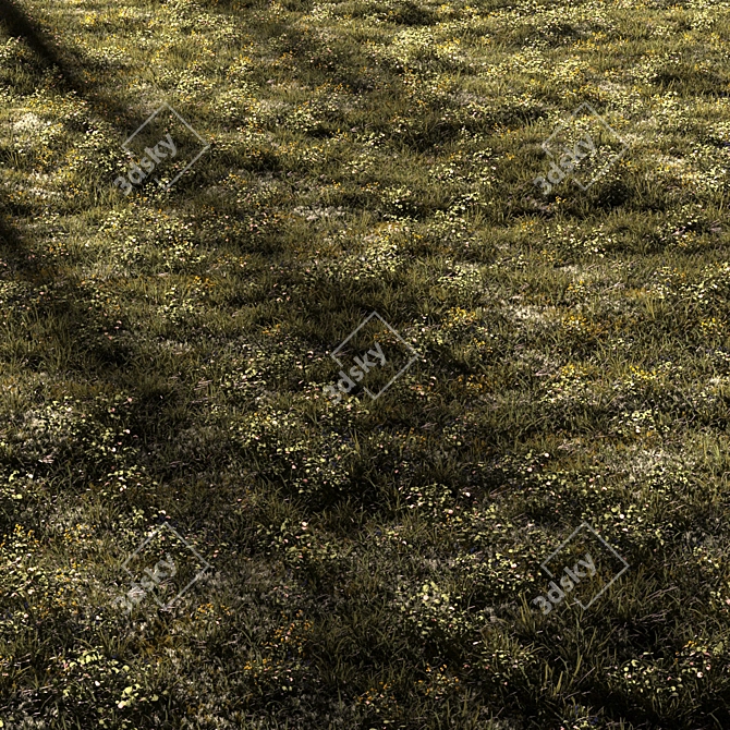 Lush Forest Grass for 3D Scenes 3D model image 2