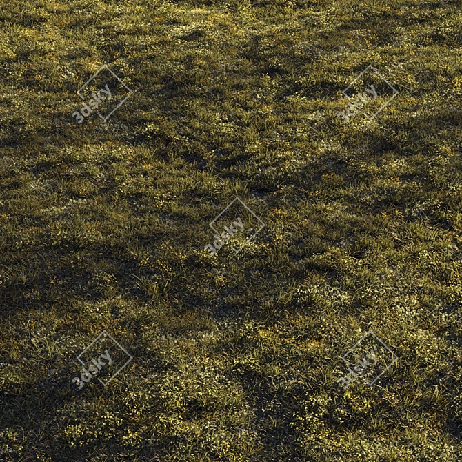 Lush Forest Grass for 3D Scenes 3D model image 3