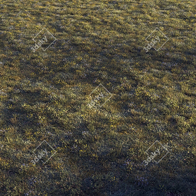 Lush Forest Grass for 3D Scenes 3D model image 4