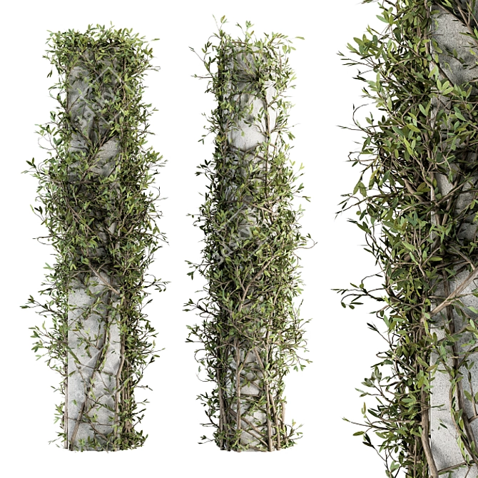 Ivy on Column Outdoor Plant Set 3D model image 1