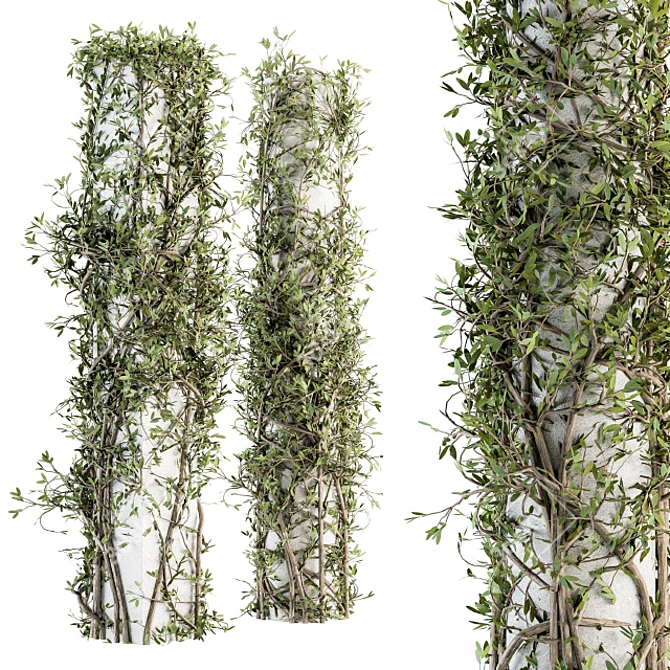 Ivy on Column Outdoor Plant Set 3D model image 3