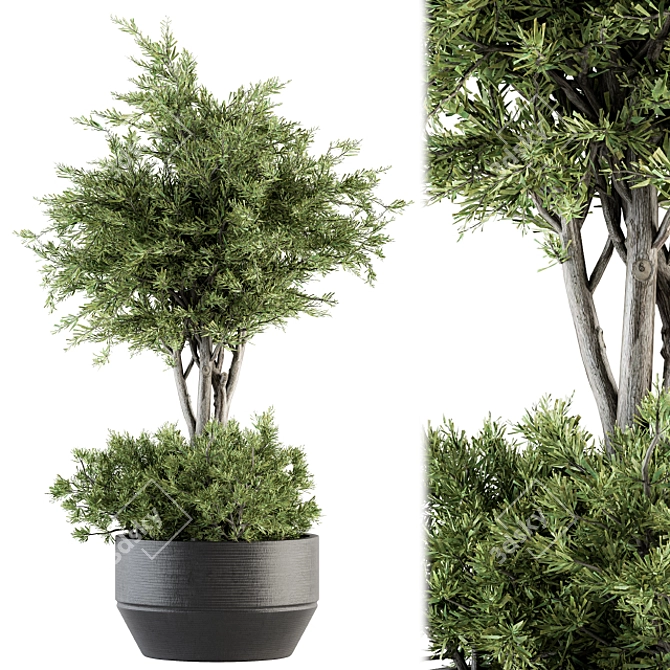 Fresh Greenery: Outdoor Plant Set 3D model image 1
