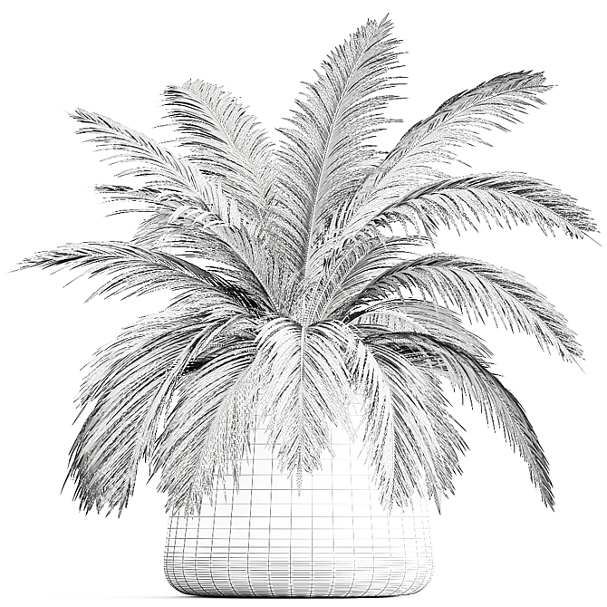 Exotic Plant Collection: Howea Forsteriana in Reclaimed Iron Coppa Pot 3D model image 6