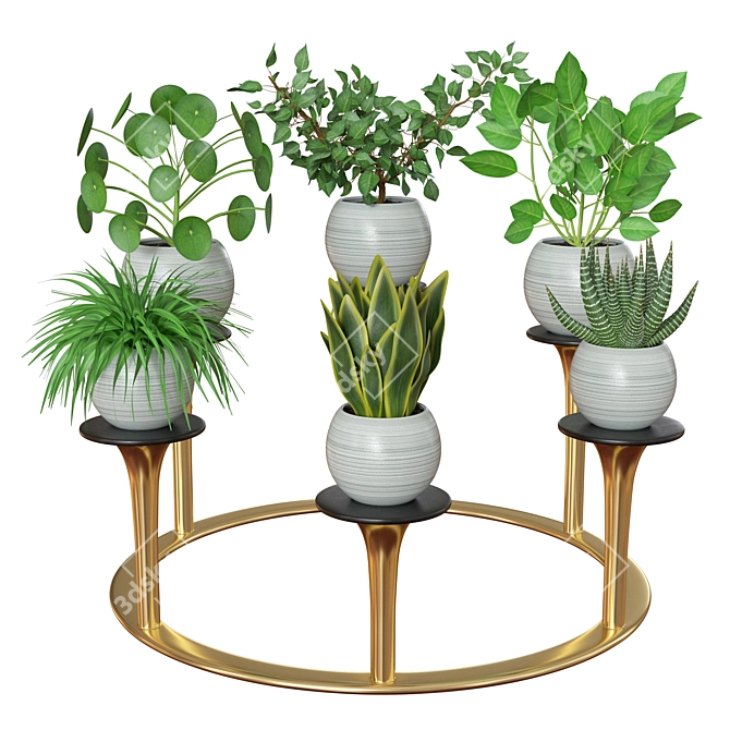 Versatile Indoor Plants: 2013 Edition 3D model image 1