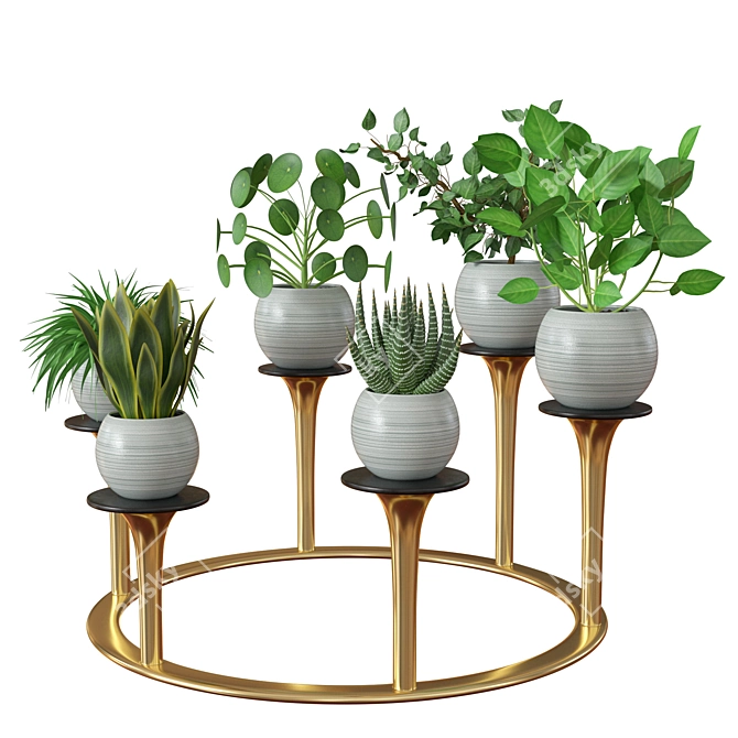 Versatile Indoor Plants: 2013 Edition 3D model image 2