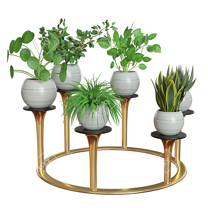 Versatile Indoor Plants: 2013 Edition 3D model image 3