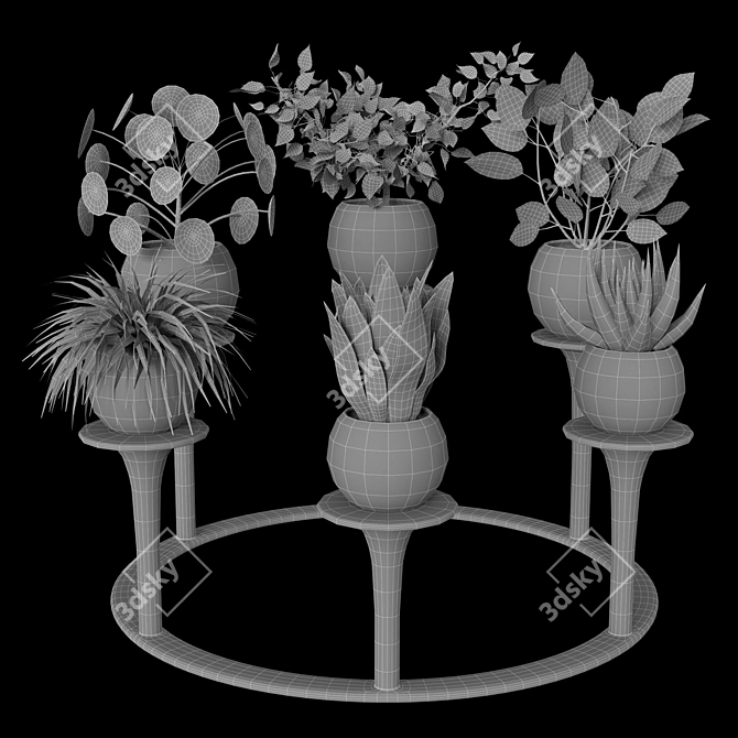 Versatile Indoor Plants: 2013 Edition 3D model image 4