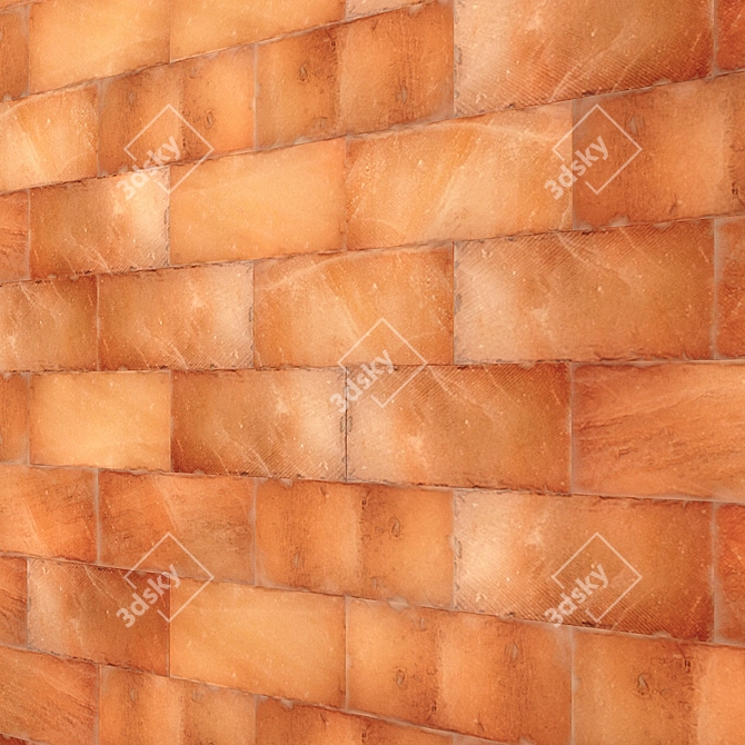 Himalayan Salt Panel - Natural Health Boost 3D model image 1