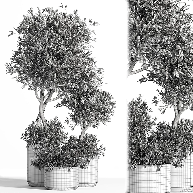 Green Oasis Indoor Plant Set 3D model image 5
