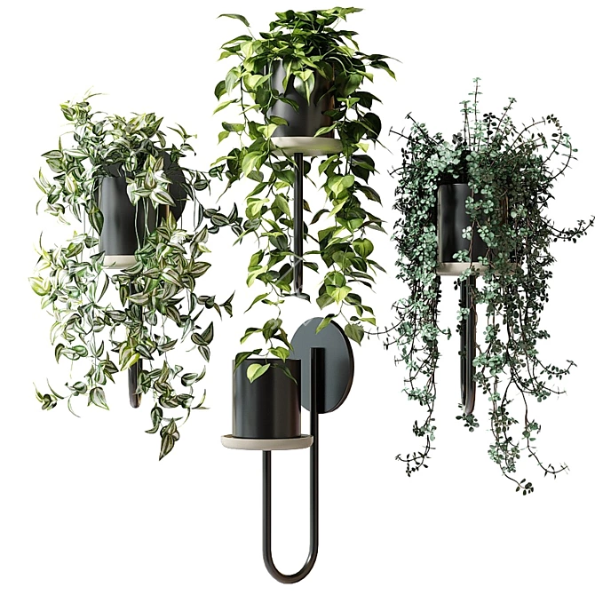 Title: CIGALES WALL: Stylish Hanging Planters 3D model image 1