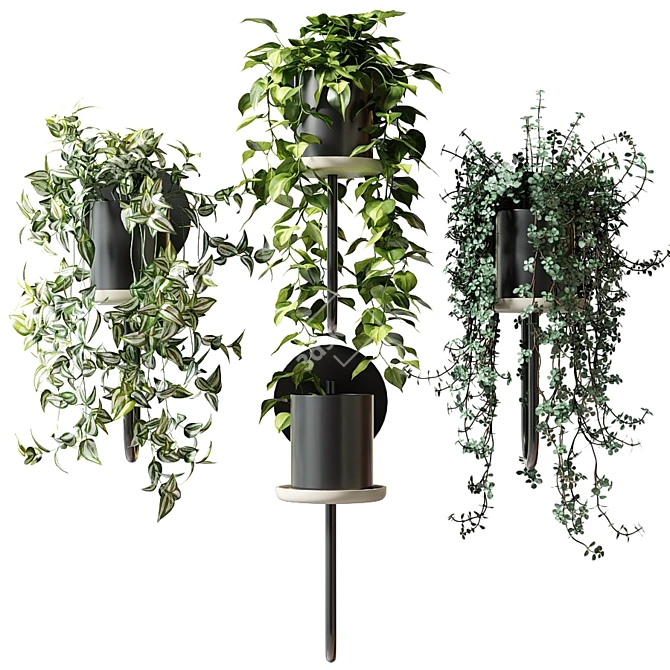 Title: CIGALES WALL: Stylish Hanging Planters 3D model image 4
