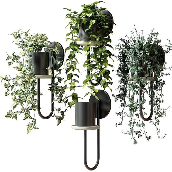 Title: CIGALES WALL: Stylish Hanging Planters 3D model image 6