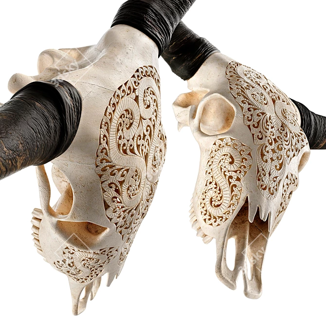 Carved Cow Skull: Exquisite 3D Model 3D model image 3