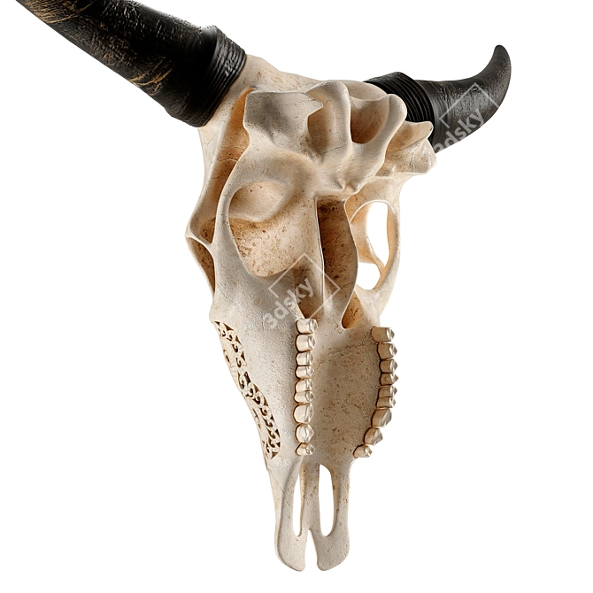 Carved Cow Skull: Exquisite 3D Model 3D model image 4