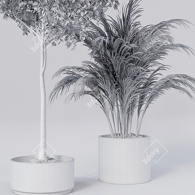Lush Leaf Indoor Plant 3D model image 5