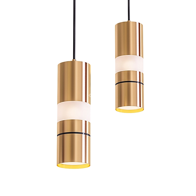 Elegant Brass Pendant Light 3D model image 1