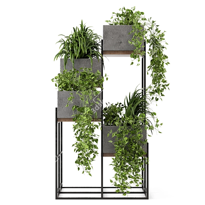 Rusty Concrete Pot Indoor Plants - Set 107 3D model image 5