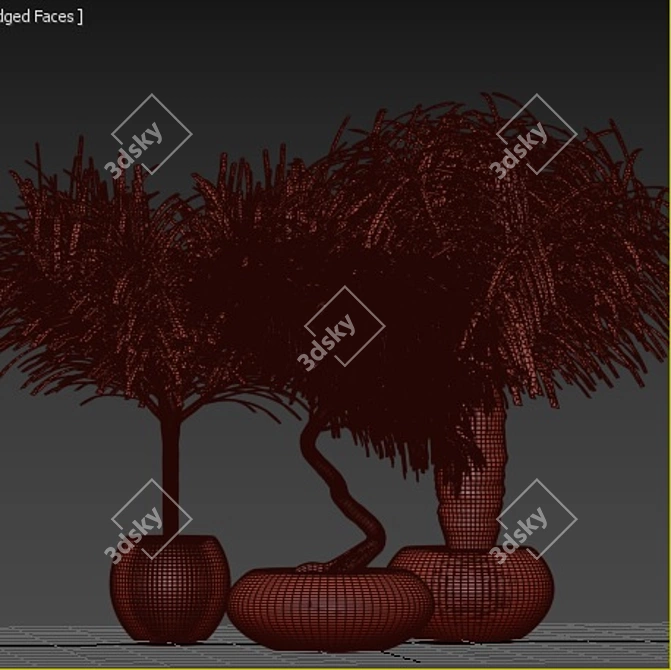 Tropical Palm Trio: Exquisite Indoor Plants 3D model image 5