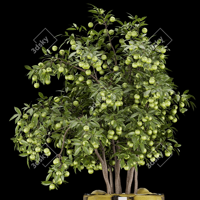 Premium Plant Collection Vol. 153 3D model image 2