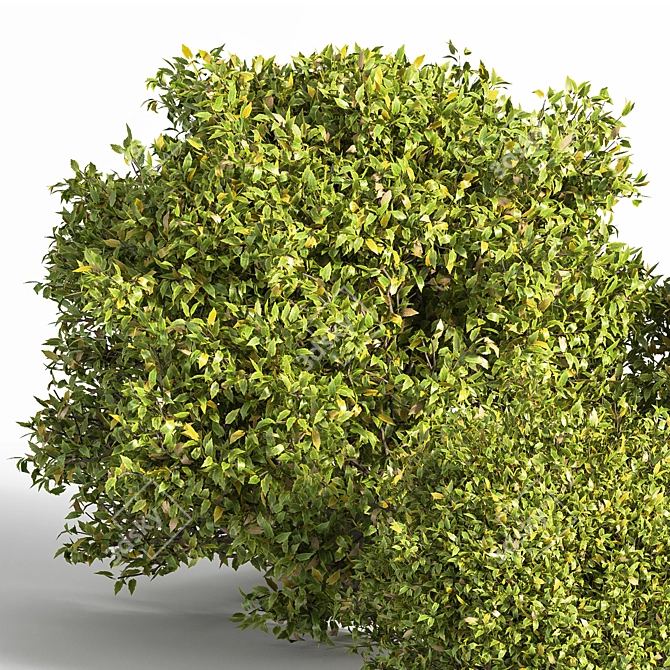 Modern Bush Furniture: 2015 Version 3D model image 2