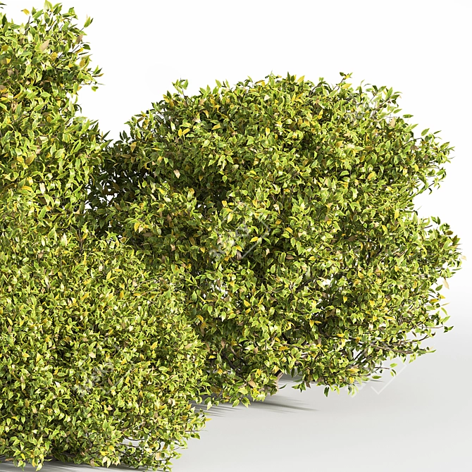 Modern Bush Furniture: 2015 Version 3D model image 3