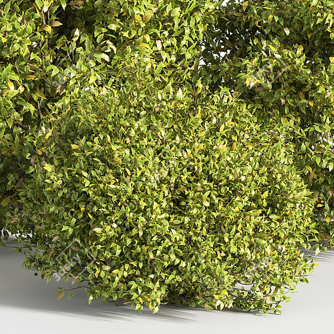 Modern Bush Furniture: 2015 Version 3D model image 4