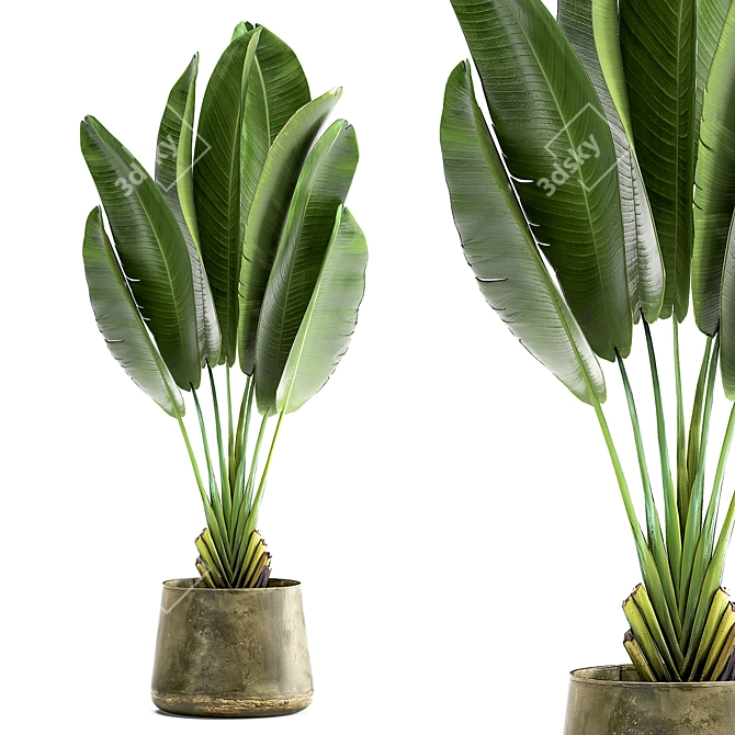 Exotic Plant Collection in Artizan Iron Pot 3D model image 1