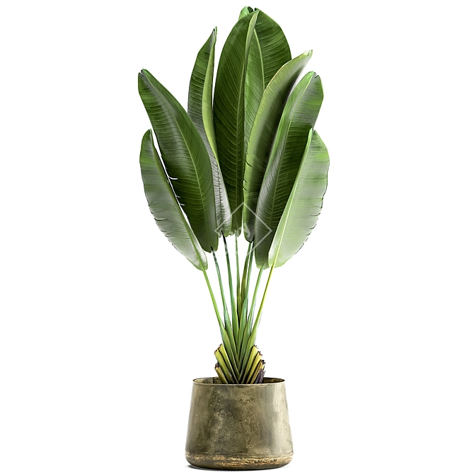 Exotic Plant Collection in Artizan Iron Pot 3D model image 4