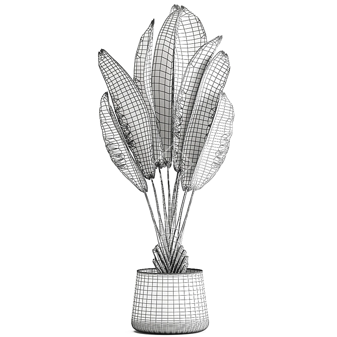 Exotic Plant Collection in Artizan Iron Pot 3D model image 5