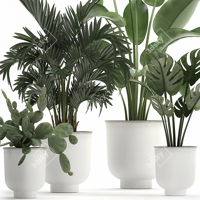 Tropical Plant Collection in White Pots 3D model image 2