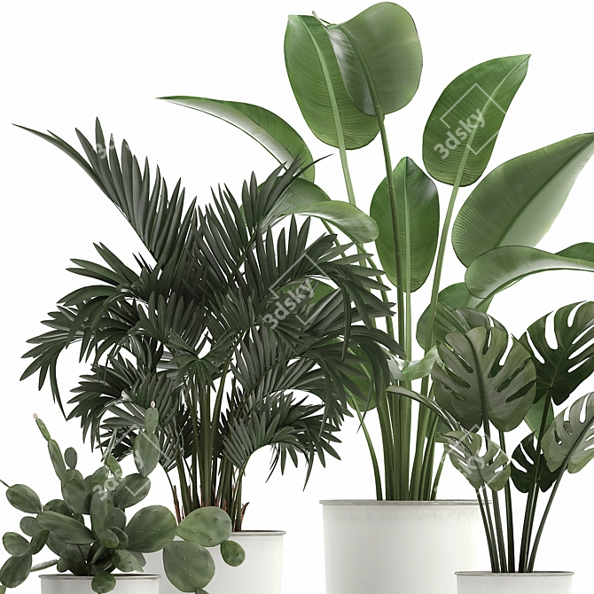 Tropical Plant Collection in White Pots 3D model image 3