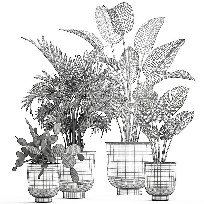 Tropical Plant Collection in White Pots 3D model image 6