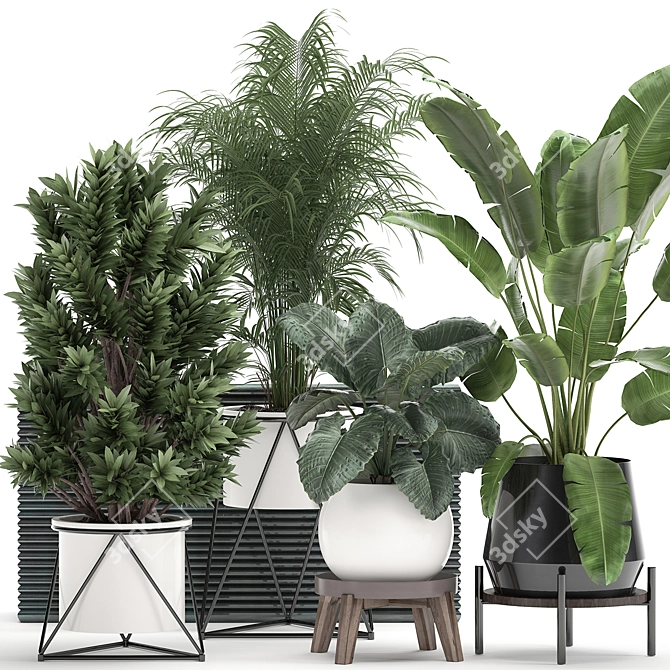 Tropical Oasis Plant Collection 3D model image 1