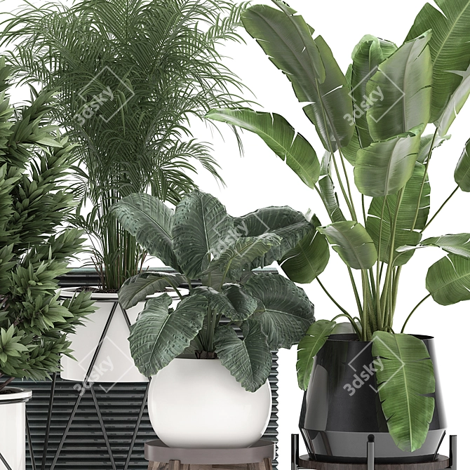 Tropical Oasis Plant Collection 3D model image 3