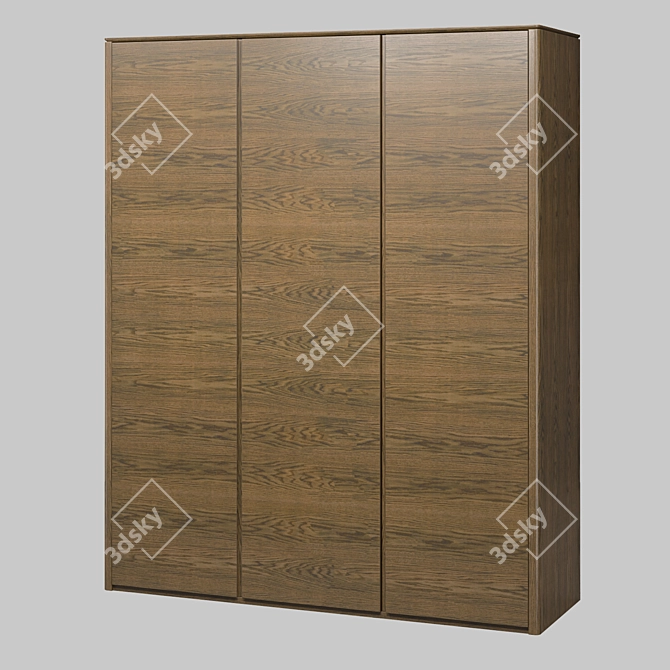 PATERNA Oak Wardrobe: Sleek and Spacious 3D model image 1