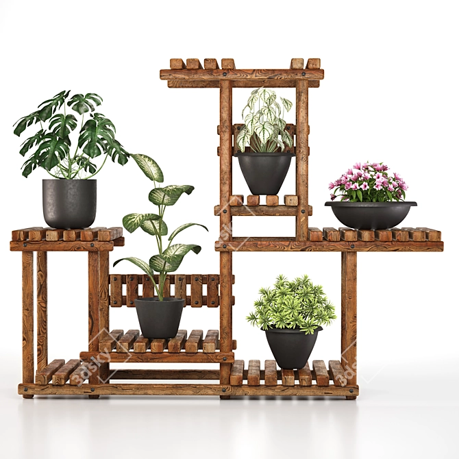 5 Indoor Plant Set 3D model image 1