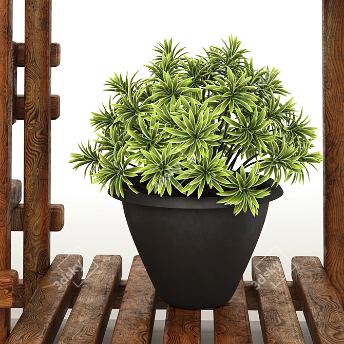 5 Indoor Plant Set 3D model image 5