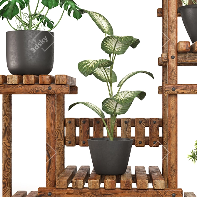 5 Indoor Plant Set 3D model image 6