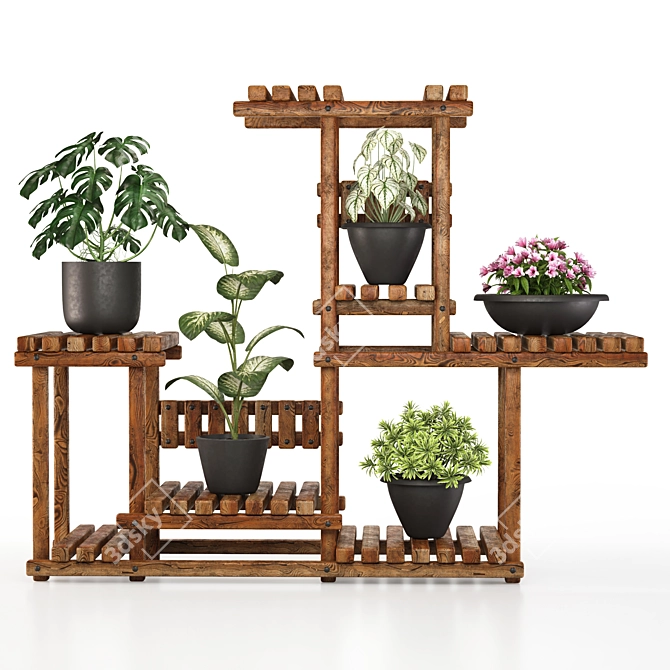 5 Indoor Plant Set 3D model image 9