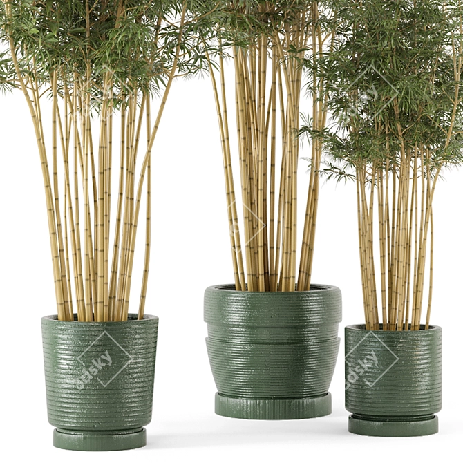 Rustic Bamboo Indoor Plants - Set 108 3D model image 5