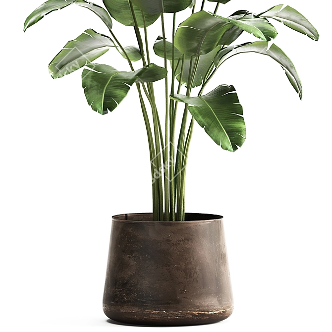 Tropical Plant Collection in Artisan Iron Pot 3D model image 2