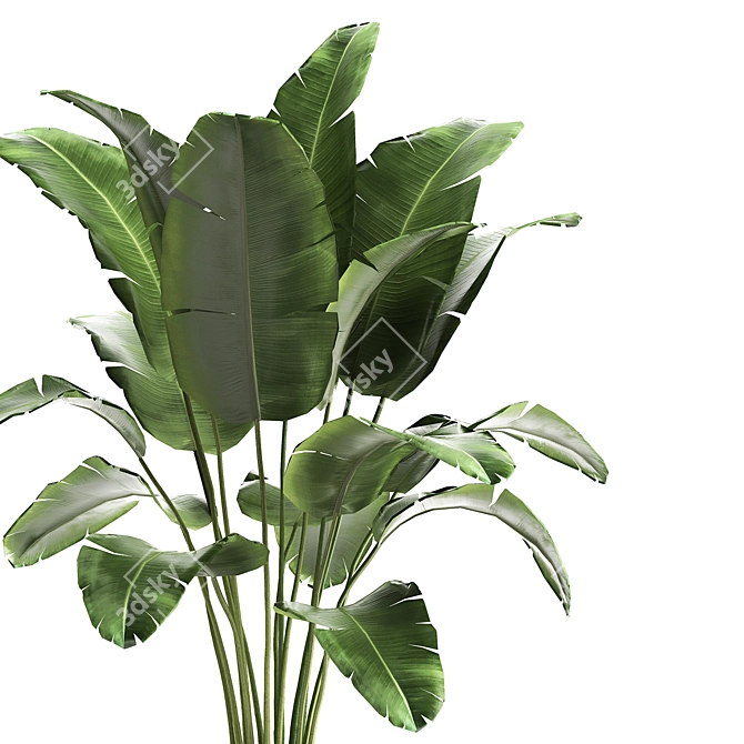 Tropical Plant Collection in Artisan Iron Pot 3D model image 5