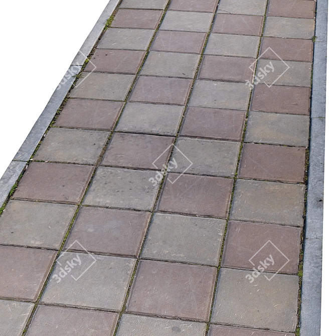 Title: High-Resolution Photogrammetric Sidewalk 3D model image 2