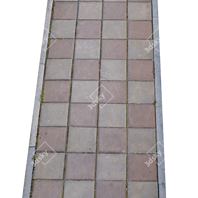 Title: High-Resolution Photogrammetric Sidewalk 3D model image 3