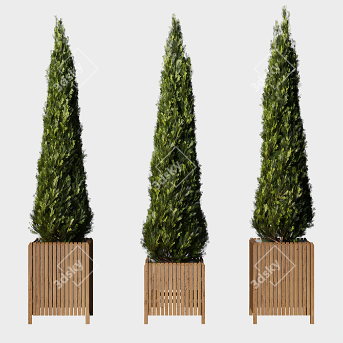 Elegant Cypress Tree 2015: 245cm x 62cm x 265cm 3D model image 1