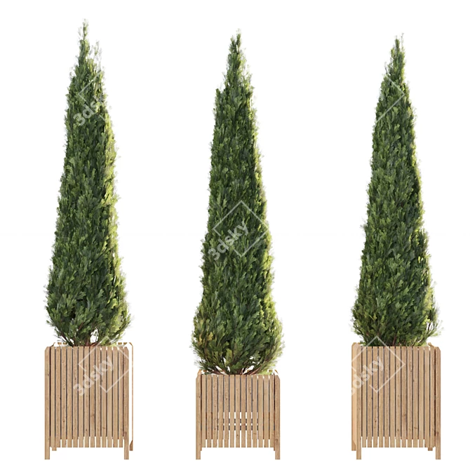 Elegant Cypress Tree 2015: 245cm x 62cm x 265cm 3D model image 10