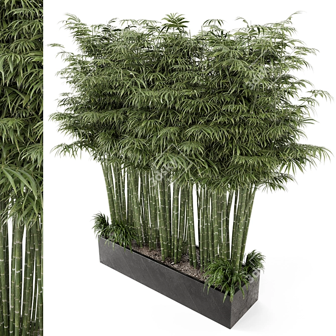 Rusty Concrete Pot Set with Outdoor Bamboo Plants 3D model image 1